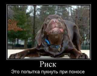 Риск это попытка пукнуть при поносе