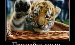 Прощайте люди