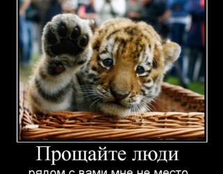 Прощайте люди