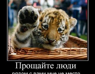 Прощайте люди