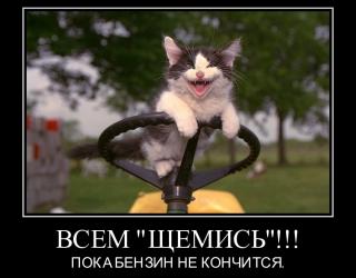 Всем щемись