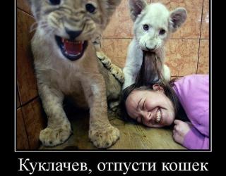 Куклачев, отпусти кошек