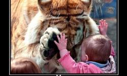 Прощай малыш