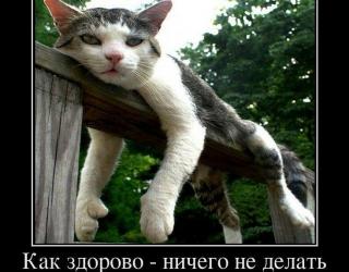 Как здорово ничего не делать