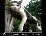 Как здорово ничего не делать