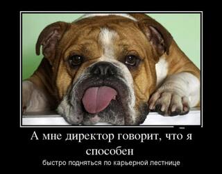 А мне директор говорит