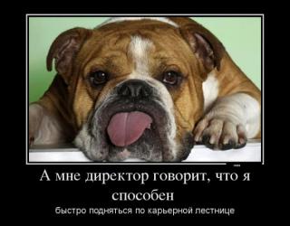 А мне директор говорит