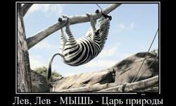 Лев Лев МЫШЬ