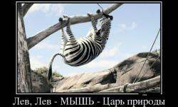 Лев Лев МЫШЬ