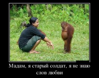 Мадам я старый солдат