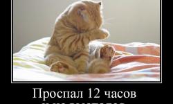 Проспал 12 часов и не выспался