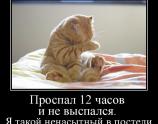 Проспал 12 часов и не выспался