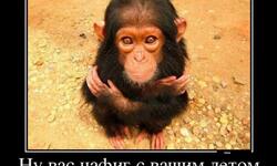 Ну Вас нафиг с вашим летом