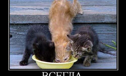 Всегда будь Выше