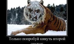 Только попробуй кинуть