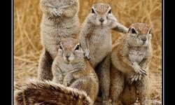 Семейно фото!!