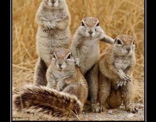 Семейно фото!!