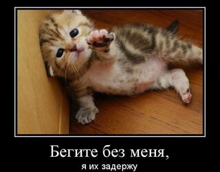 Бегите без меня