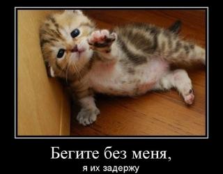 Бегите без меня