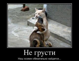 Не грусти