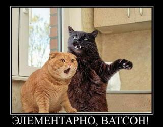 Элементарно ватсон