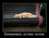 Бомжевать лучше летом