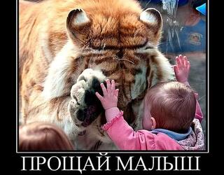 Прощай малыш