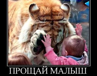 Прощай малыш