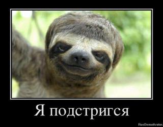 Я подстригся
