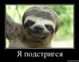 Я подстригся