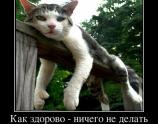 Как здорово ничего не делать