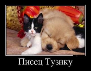 Писец Тузику