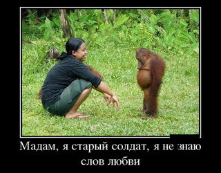 Мадам я старый солдат