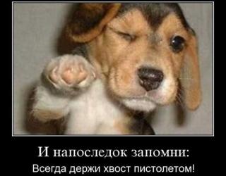 И напоследок запомни