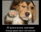 И напоследок запомни